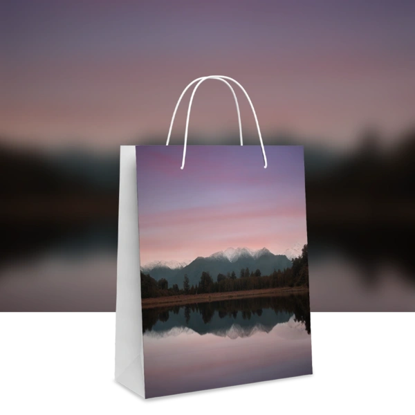 Paper Bags